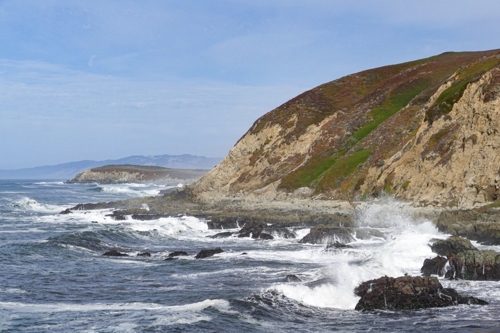 Bodega Bay 